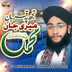 Jashan E Wiladat Agaya