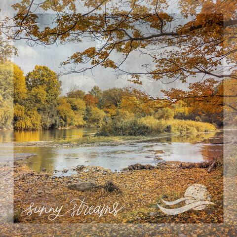 Sunny Streams