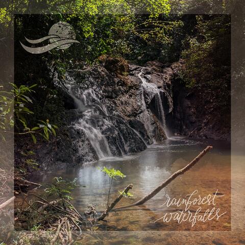 Rainforest Waterfalls