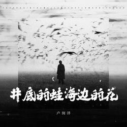 井底的蛙 海边的花