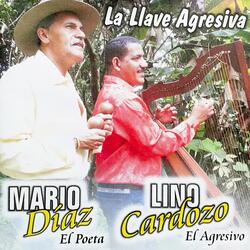 Improvisando En Canasta