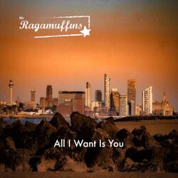 All I Want Is You