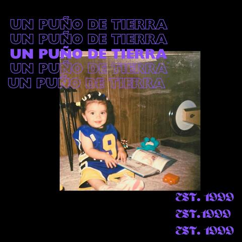 UN PUÑO DE TIERRA