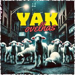 Ovelhas