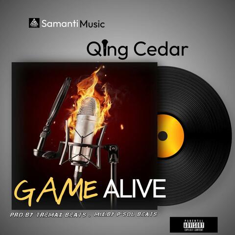 Game Alive