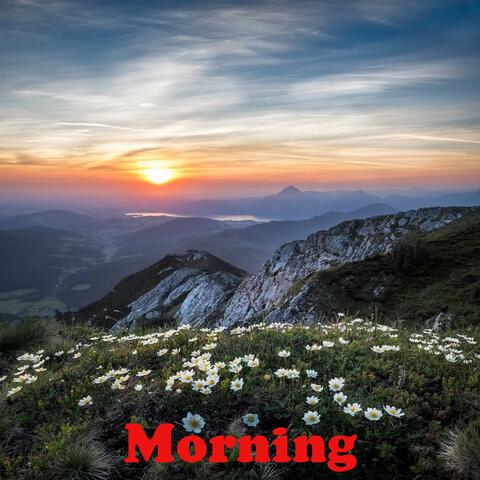 Morning