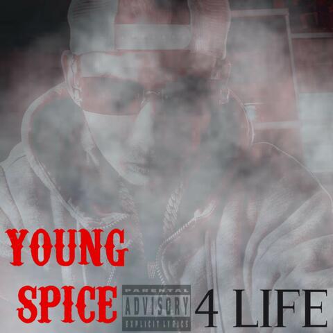4 Life