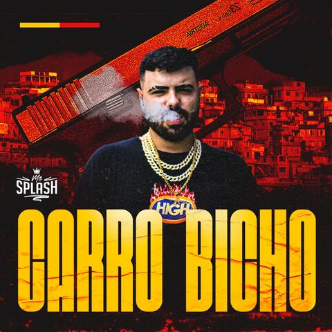 Carro Bicho