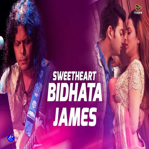 Bidhata