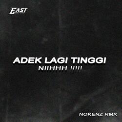 Adek Lagi Tinggi Niihh