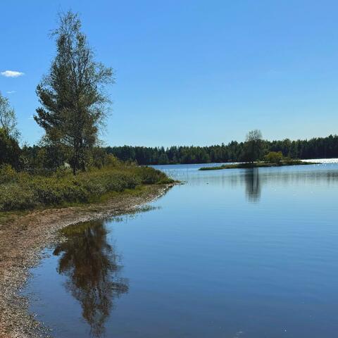 Minnen