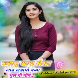 ज्यानु थारा सेसा लाड लडायों कया भुल गी मोंन