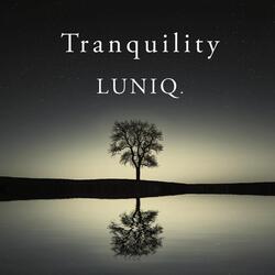 Tranquility