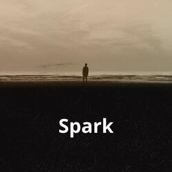 Spark
