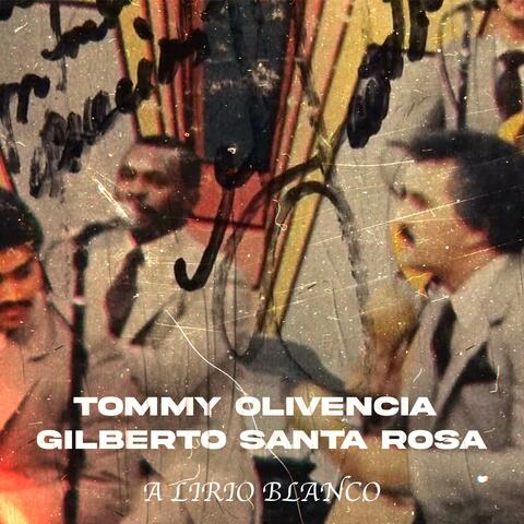 A Lirio Blanco
