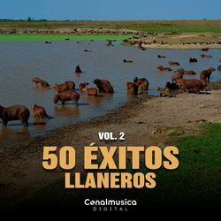 Chinchorro