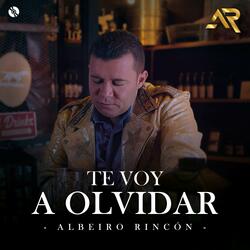 Te Voy A Olvidar
