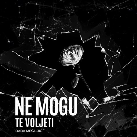 Ne mogu te voljeti