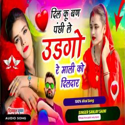 दिल कू बण पंछी ले उडगो रे माली को दिलदार