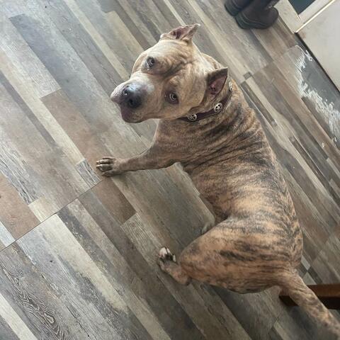 Oh, You the Man Now?