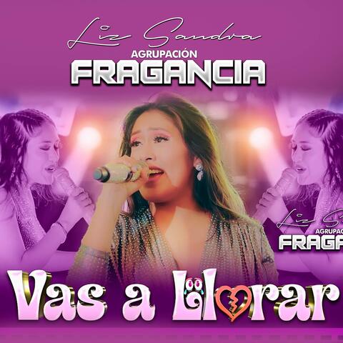 Vas a Llorar