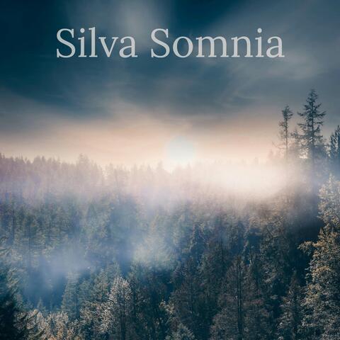 Silva Somnia
