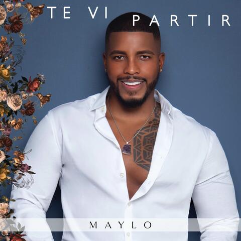 Te Vi Partir