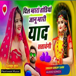 दिल म्हारो तोडियो जानू म्हारी याद सतावेगी