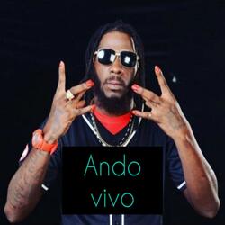 Ando Vivo