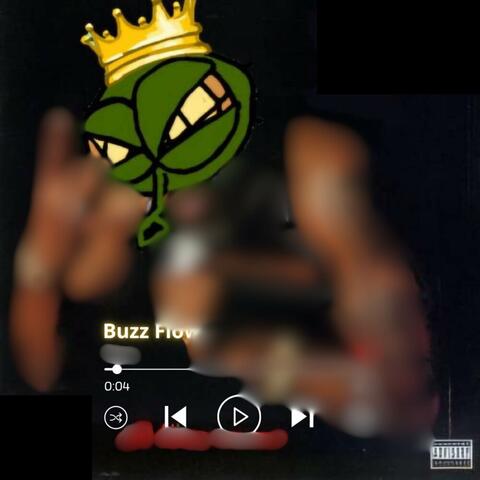 Buzz Flow