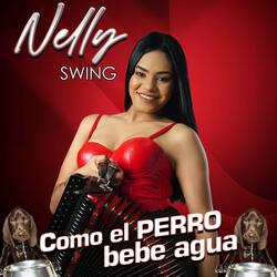 Como El Perro Bebe Agua