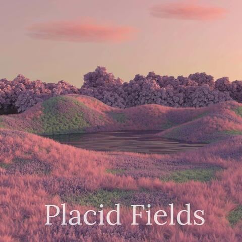 Placid Fields