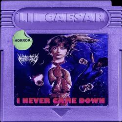 I NEVER CAME DOWN