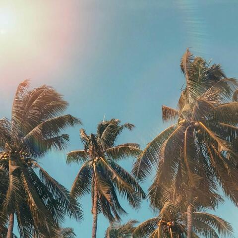 Summer’s Over