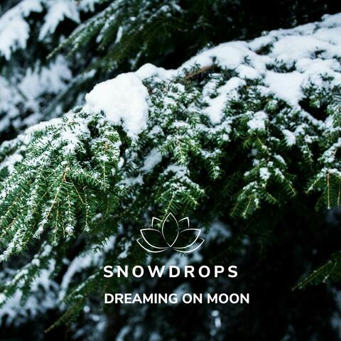 Snowdrops