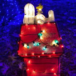 About That Little Boy