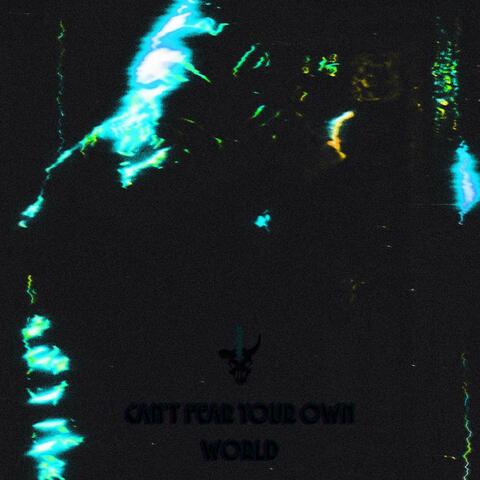 CAN'T FEAR YOUR OWN WORLD