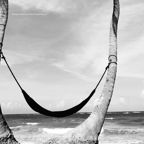 Painless: Meditations on Transcendence