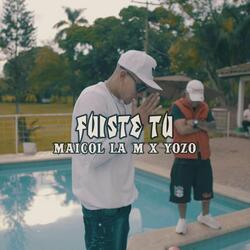 Fuiste Tu