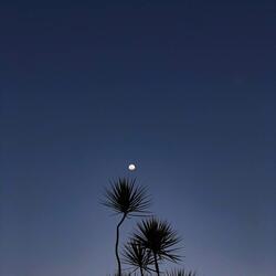 Все равно что