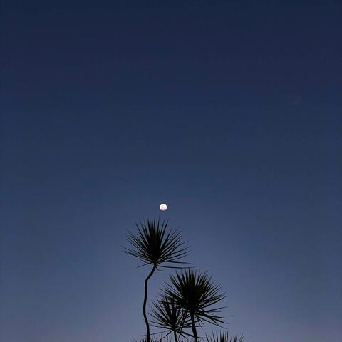 Все равно что