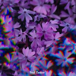 birds singing in the dark