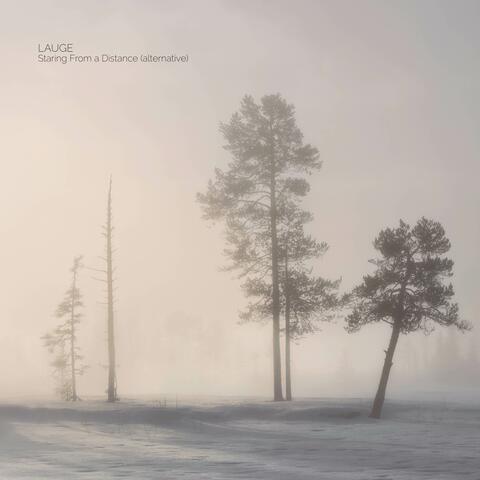 Staring from a Distance