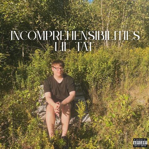 INCOMPREHENSIBILITIES