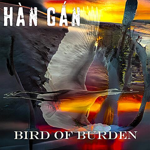 Bird of Burden