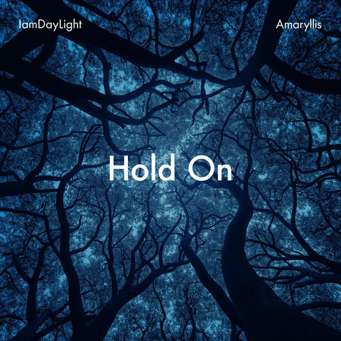 Hold On