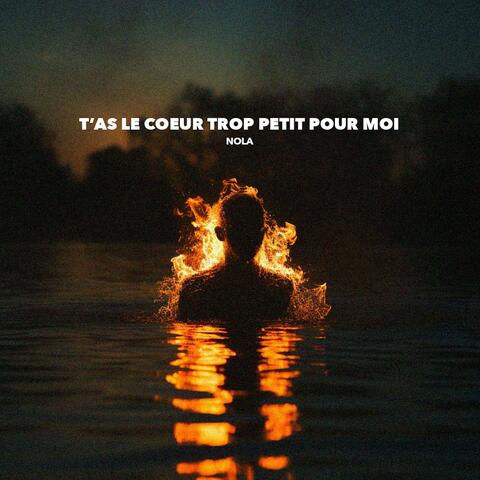 T'as le coeur trop petit pour moi