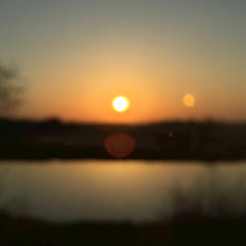 Almost Forgotten