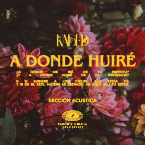A Donde Huire