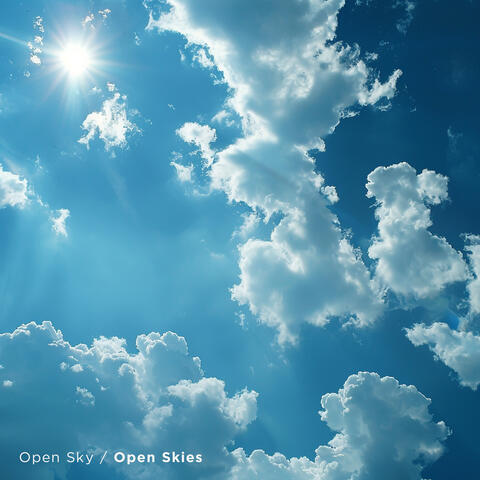 Open Skies